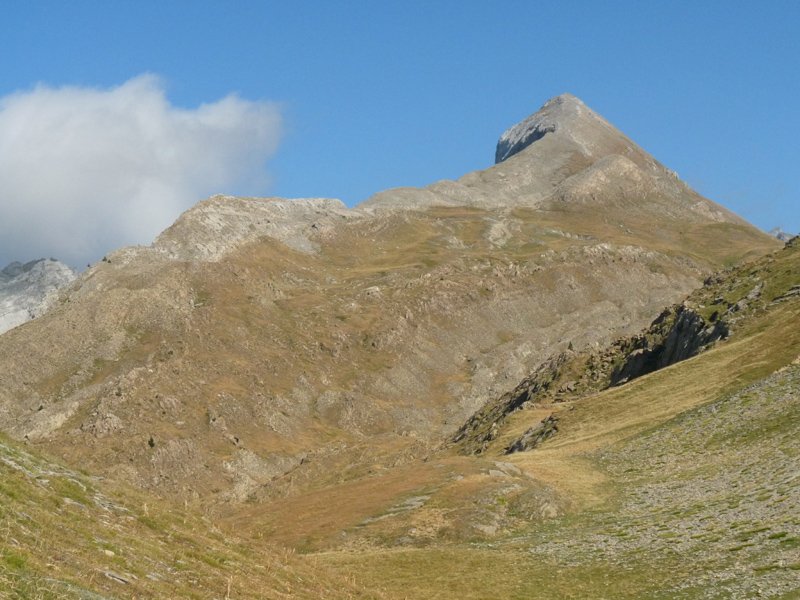 Petrechema Solanatik