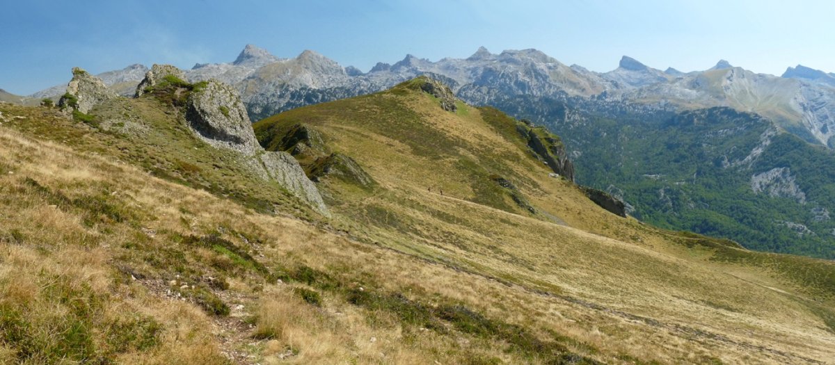 Lakhuraren ekialdeko gandorra