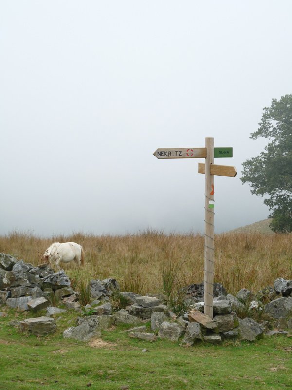 Erakusgarria Nekaitzeko lepoan