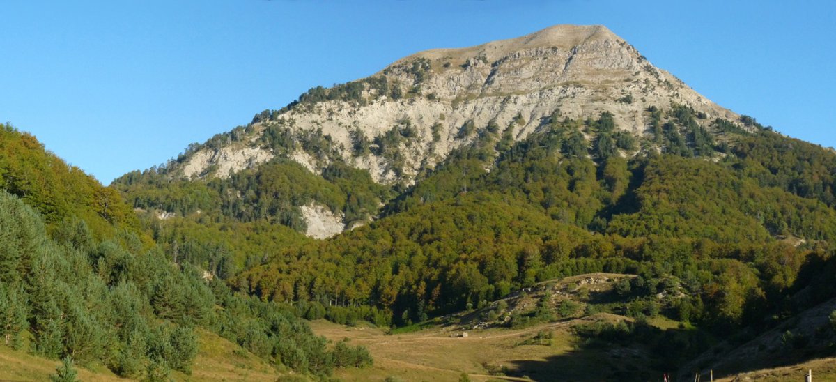 Txamantxoia Linzatik