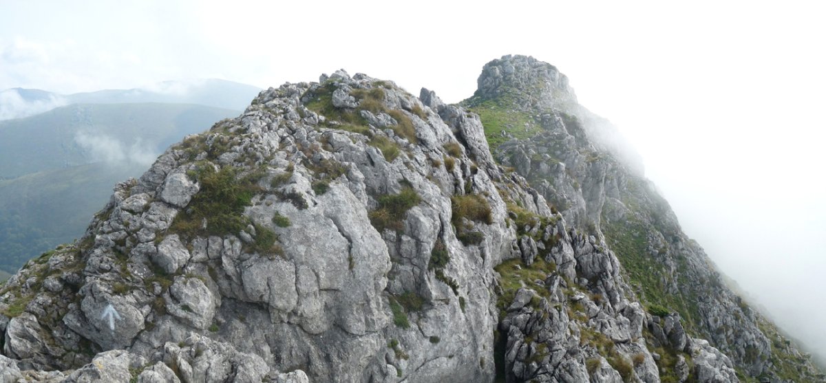 Behorlegiko gailurra