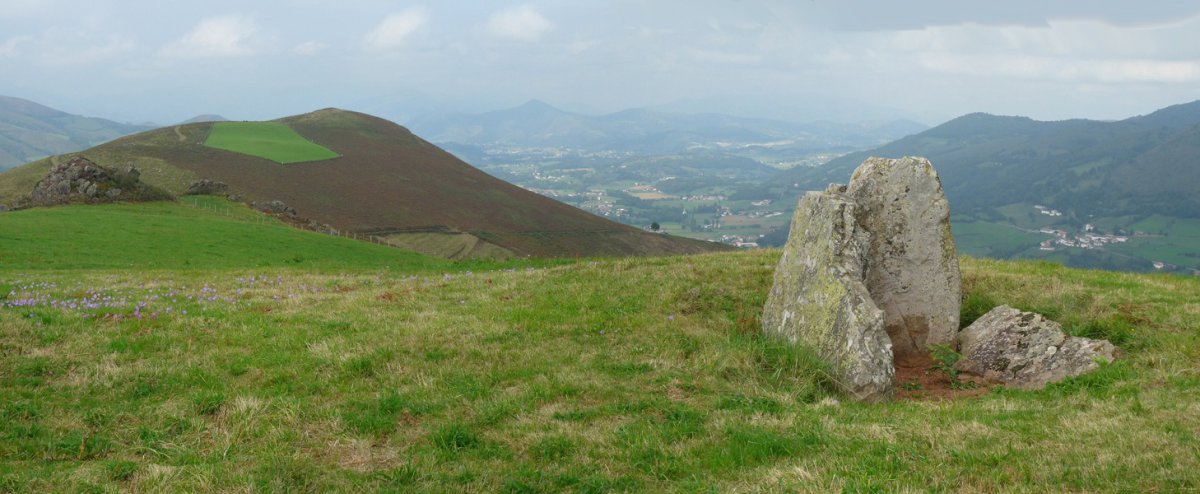 Armiagako trikuharria. Hondoan, Armiaga gaina.