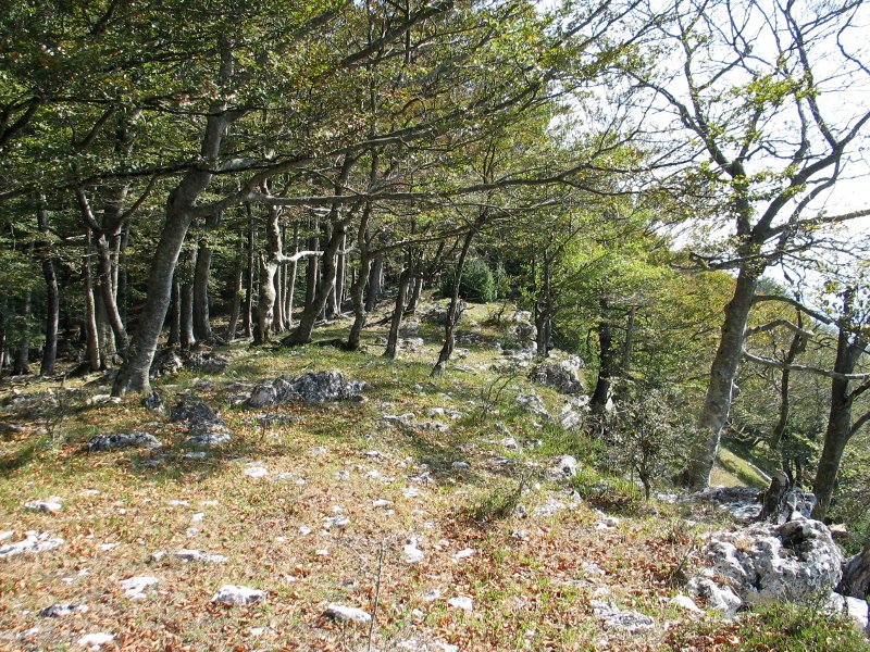 Tontorraren inguruak