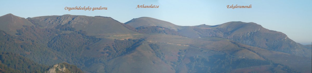 Harsüdürrako mendiak Larrañetik