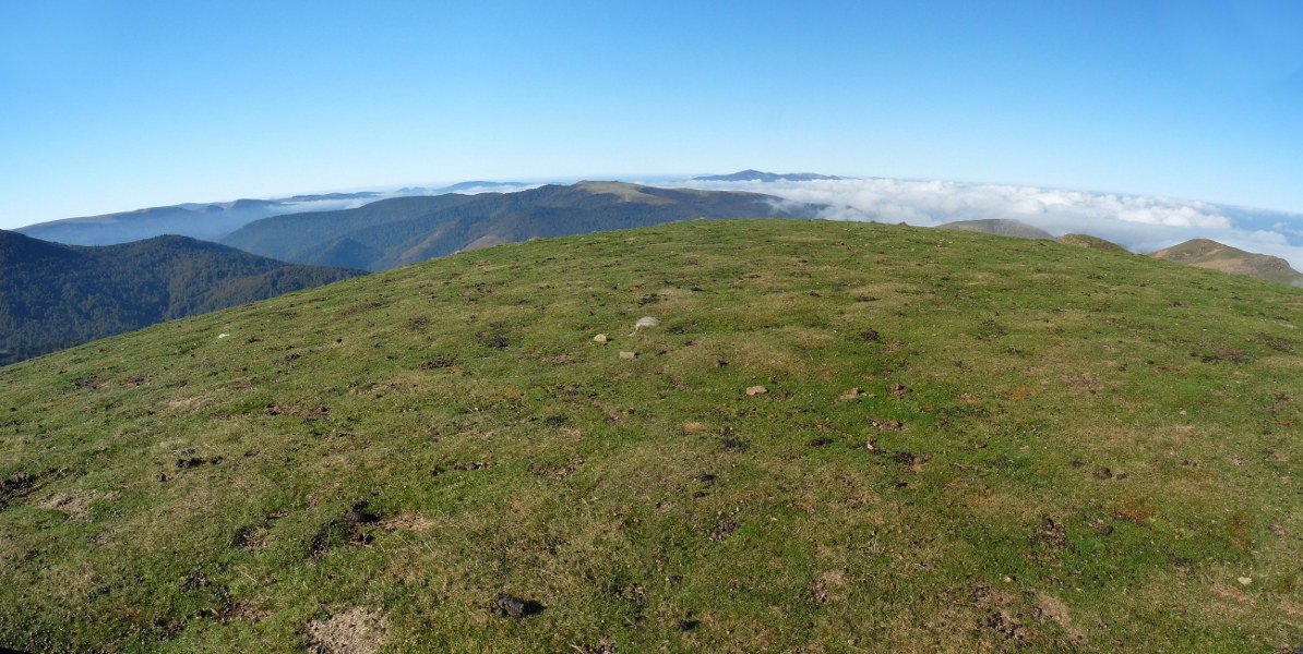 Arthanolatzeko gailurra