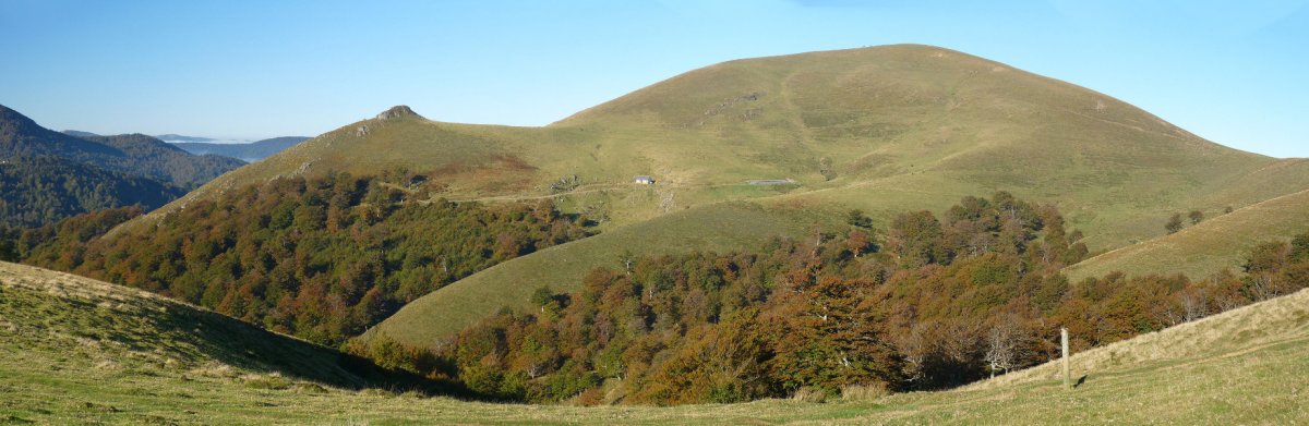 Arthanolatze ekialdetik