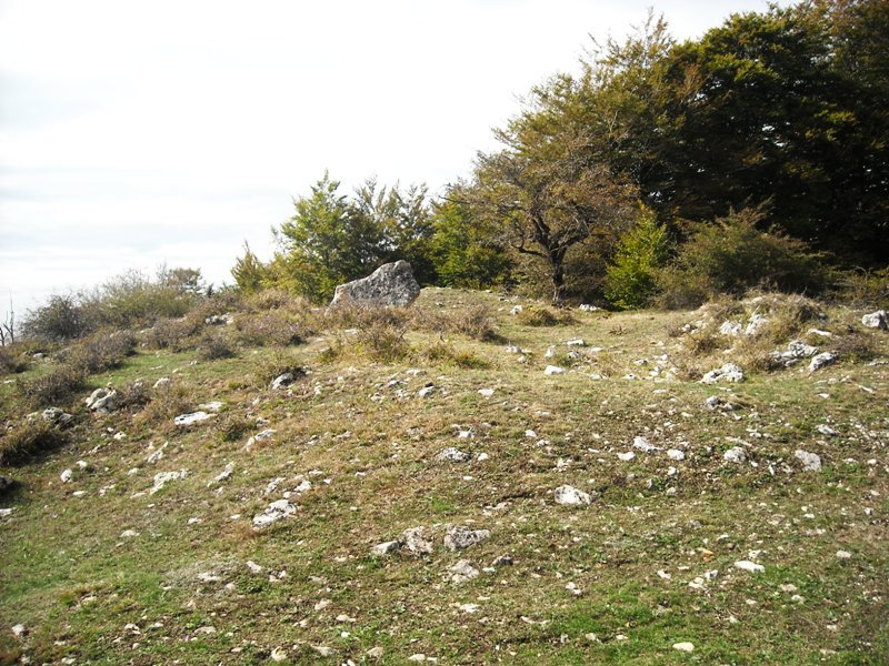 Gaztelamendi trikuharria