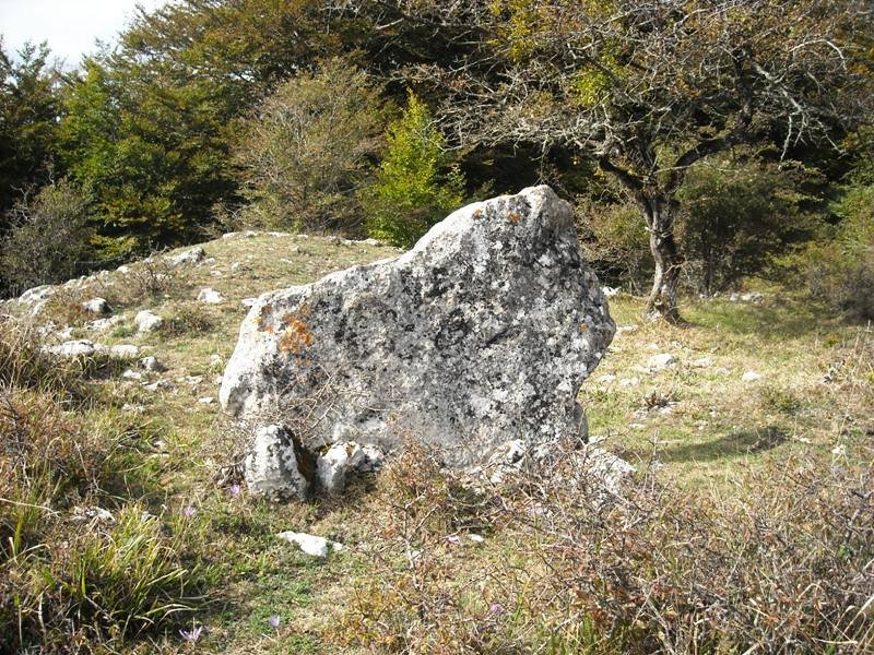 Gaztelamendi trikuharria