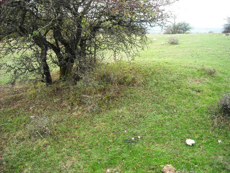 Gaztelamendi tumulua