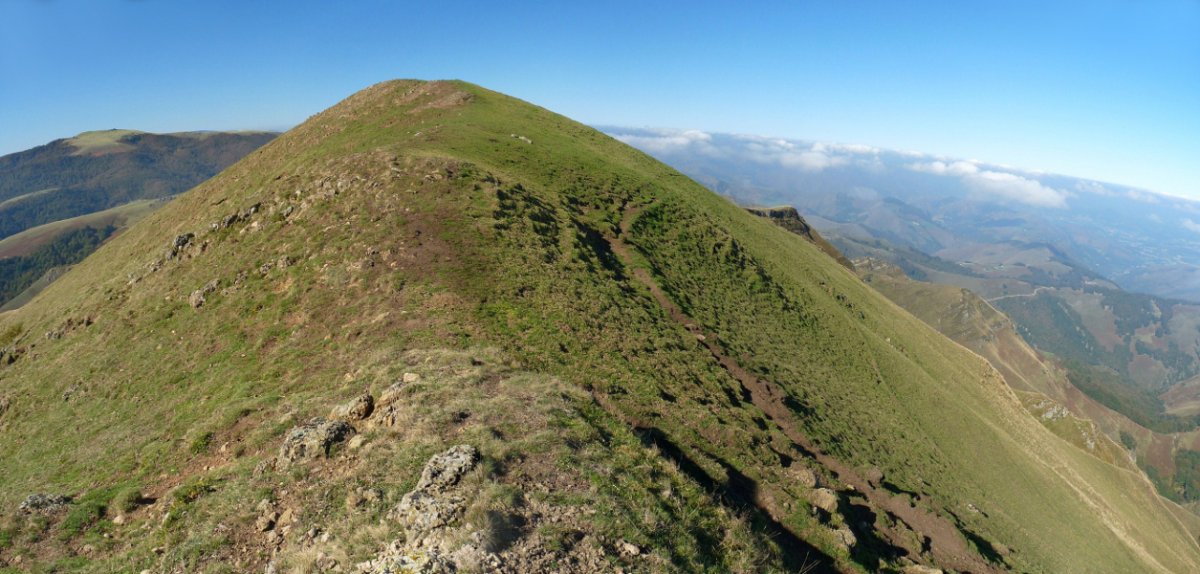 Mendibeleko gailurra