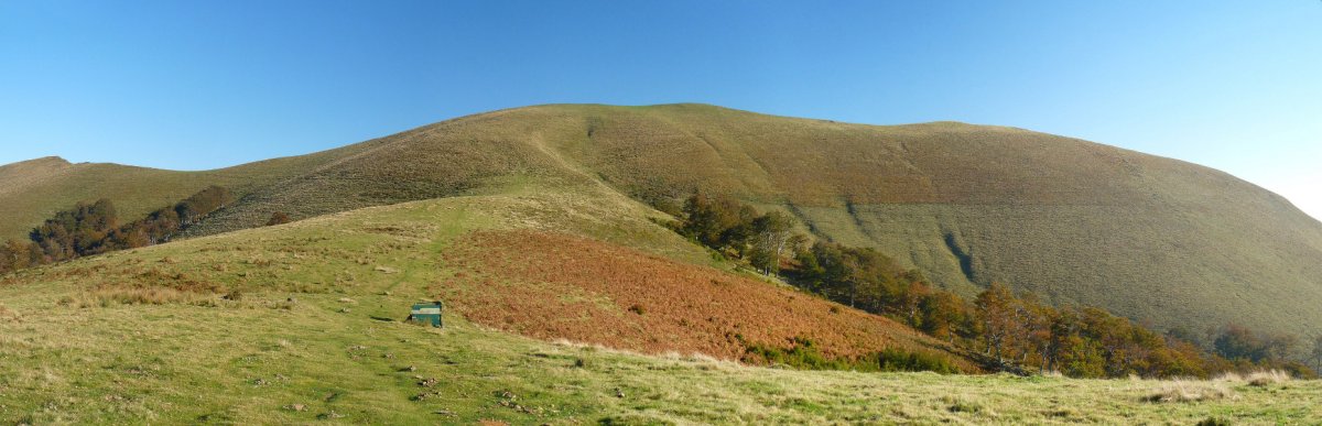 Eskaileramendi. Ezkerraldean, Lepo Txipia