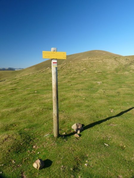 Adierazgarria Lepo Txipian