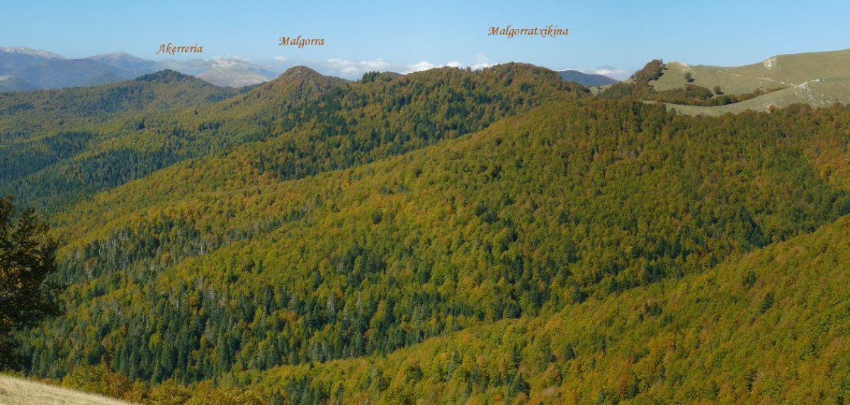 Malgorra inguruko mendiak Orhi azpiko errepidetik