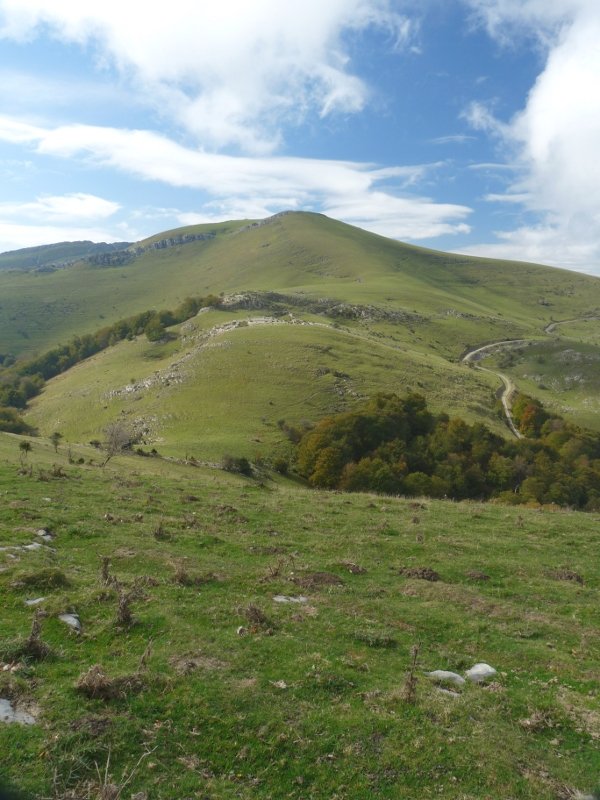 Hauskoa iparraldetik