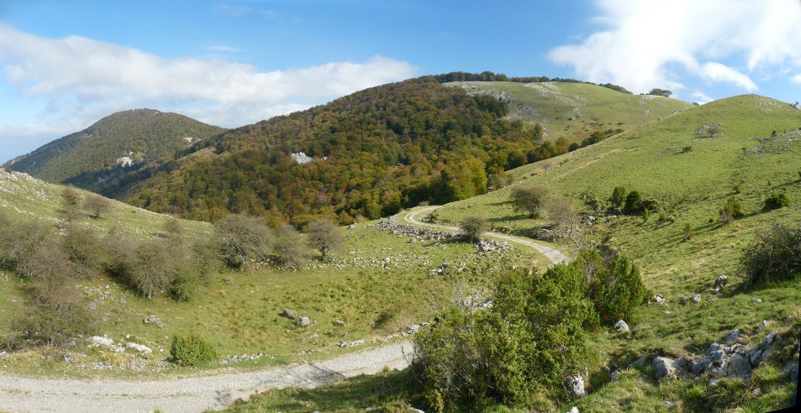 Harruskoako lepoko larre ederrak 