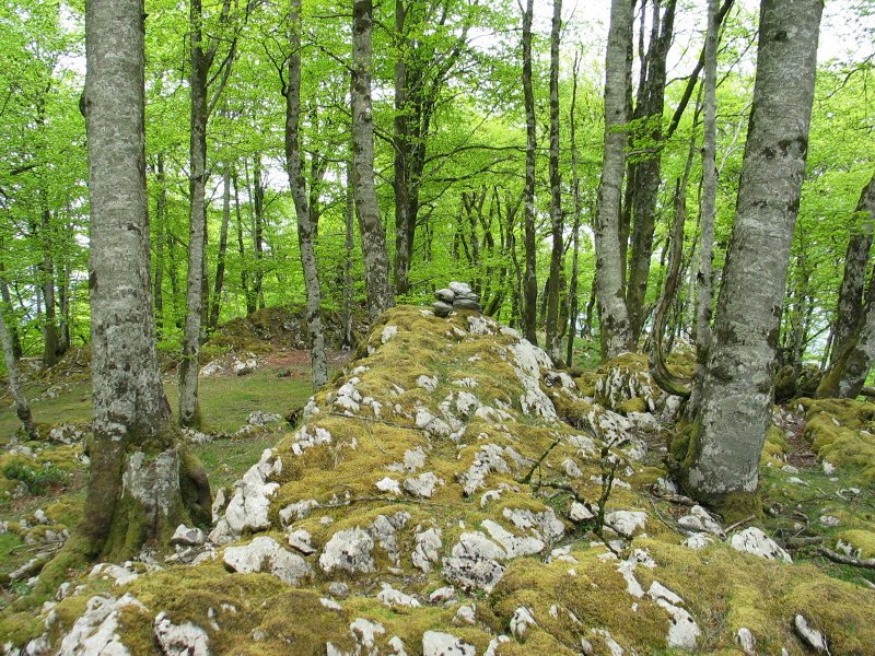 Sanmigelargaineko tontorra