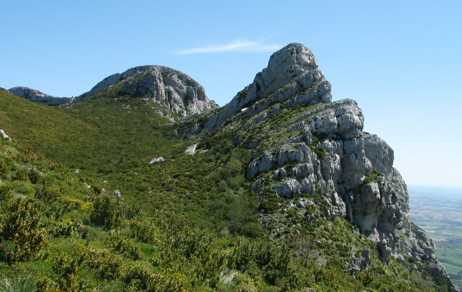 HMko gandorraren muturra