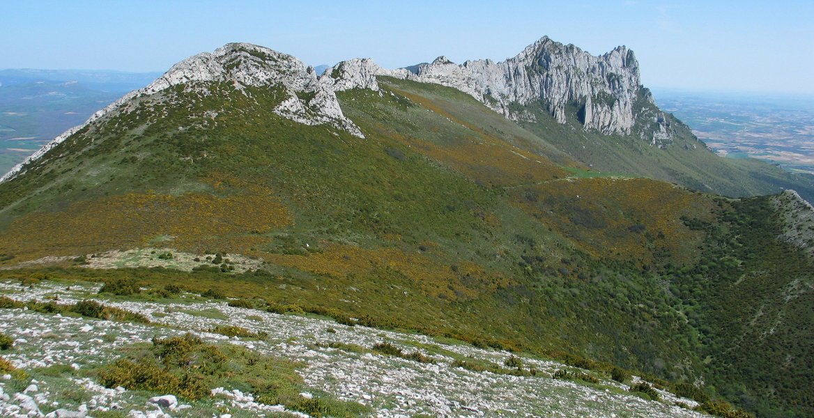 Recilla eta Palomares Cerveratik