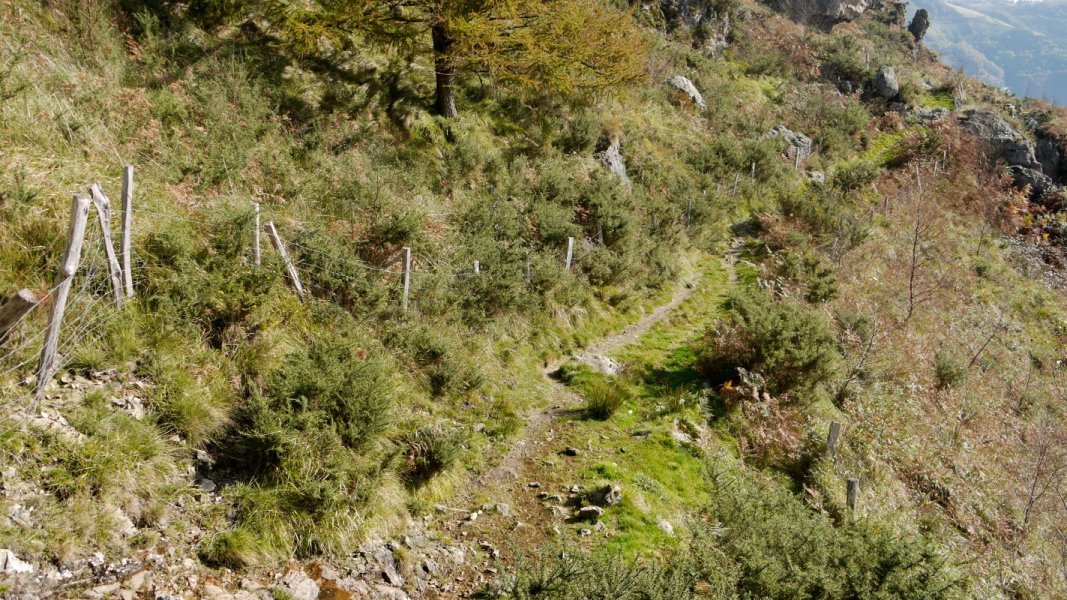 Bidea Aritxulegiko gain aldean