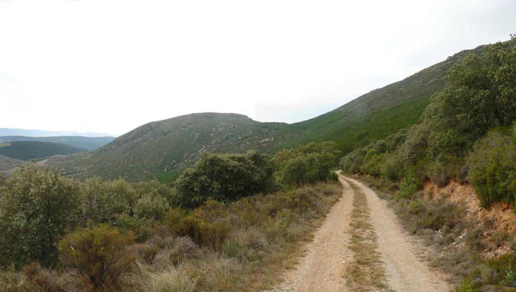 Bide zabaletik, Ibarra ikusgai