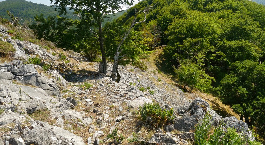 Galtzada baten arrastoak Uztartzeko lepoan