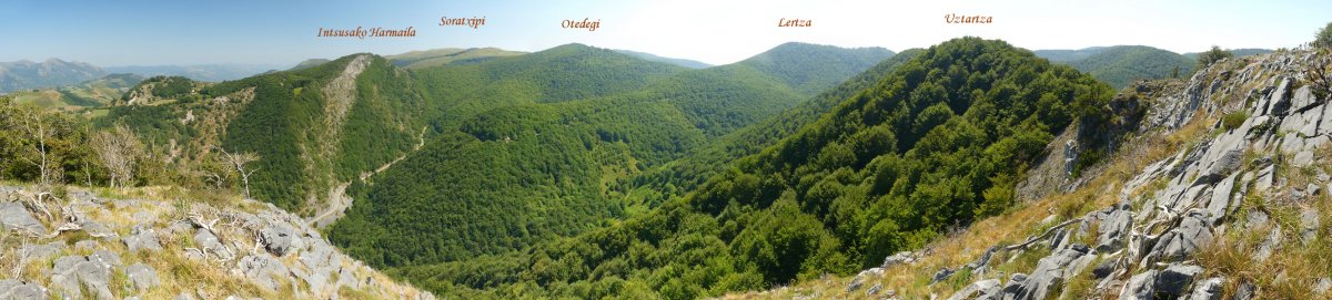 Panorama Artzeletako gailurretik