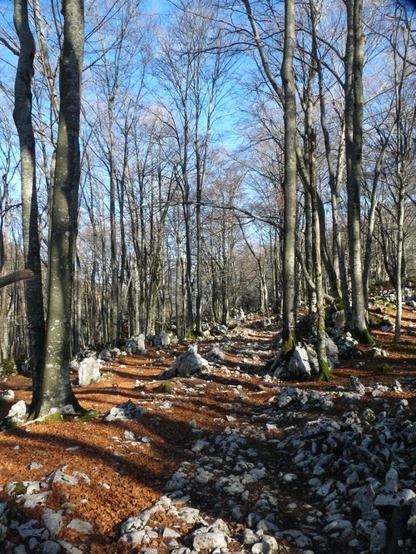 Baraibarko bide ederra, Gaztelu eta Txurtxur artean