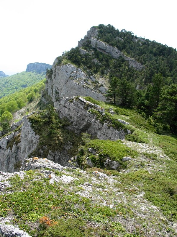 Mendebaldeko gandorretik