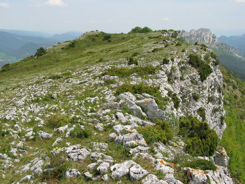 Mendebaldeko gandorretik