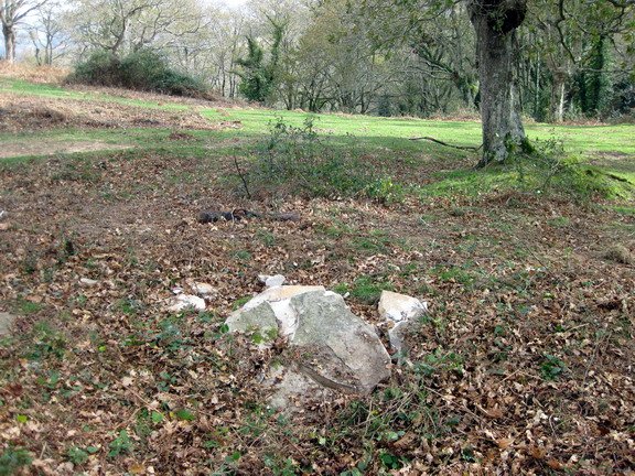 Arlauza puskaturik 2