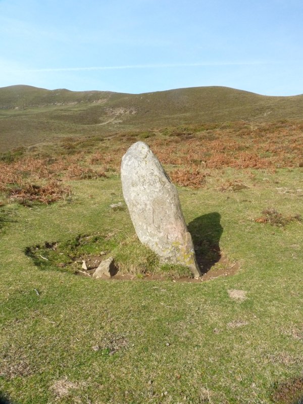 Bagazelaiko zutarria