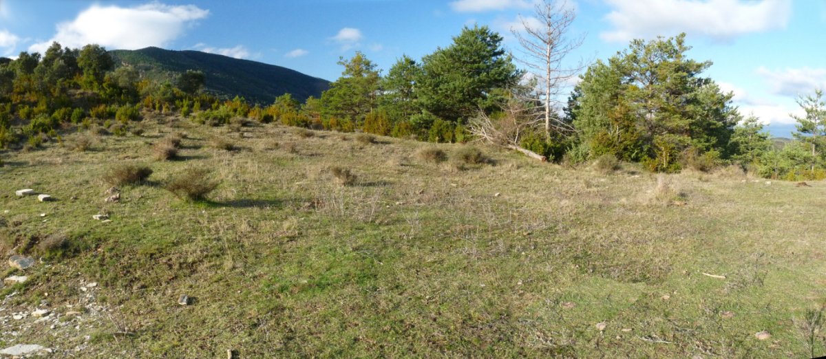 Ososki eta Zaranbulu artek olepoa