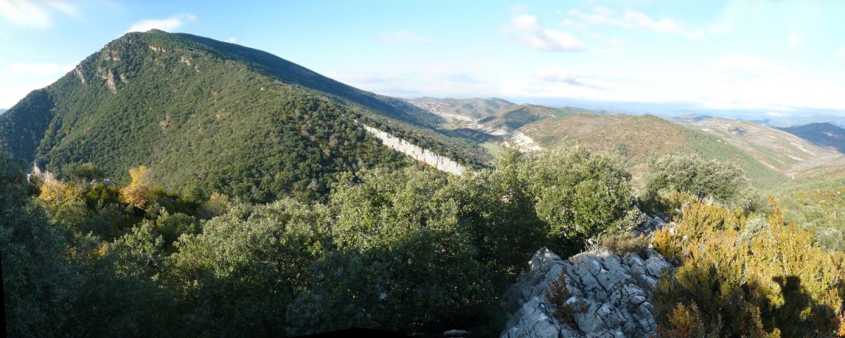 Idokorri Ososkia menditik