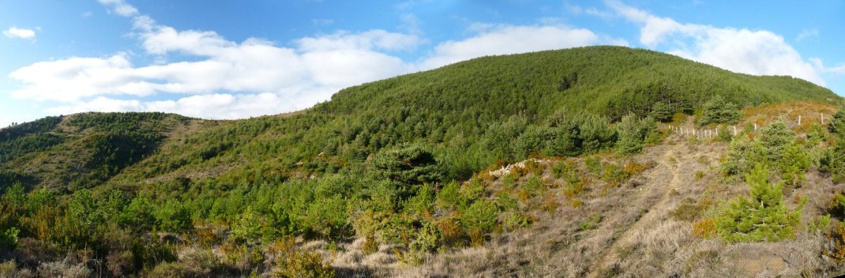 Amiñagain, ekidetiko ikuspegia