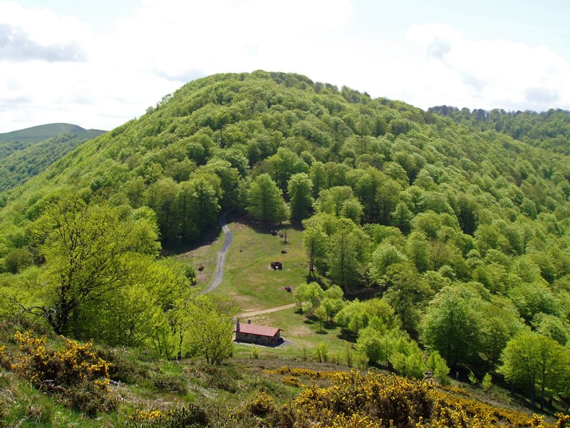 Sanmigelargain Labeagatik