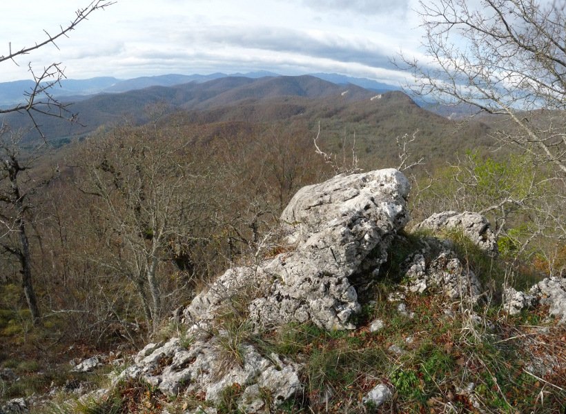 Gainolarriko gailurra. Serlo Gaina hondoan ikusgai