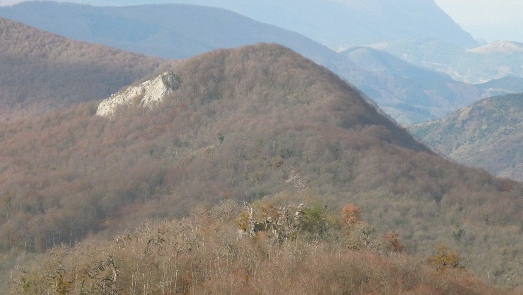 Serlo Gaina, ezaugarri duen malkarrarekin, Gainolarritik