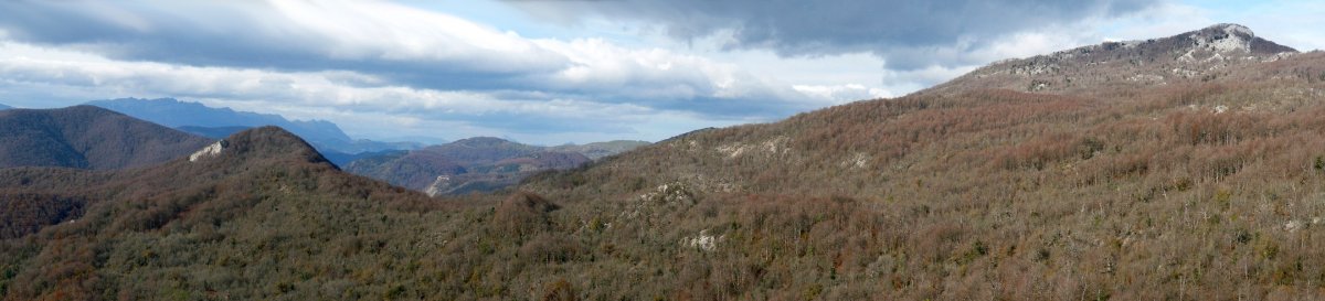 Puttarri eta Serlo Gaina Algorritik