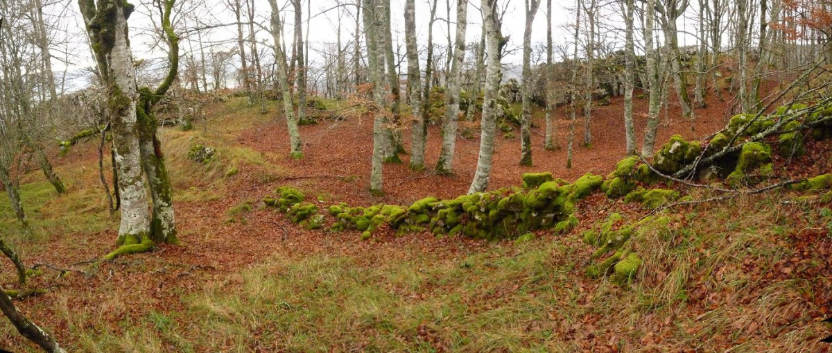 Muga egiten duen murrua, Serlo Gainaren hegietan gora