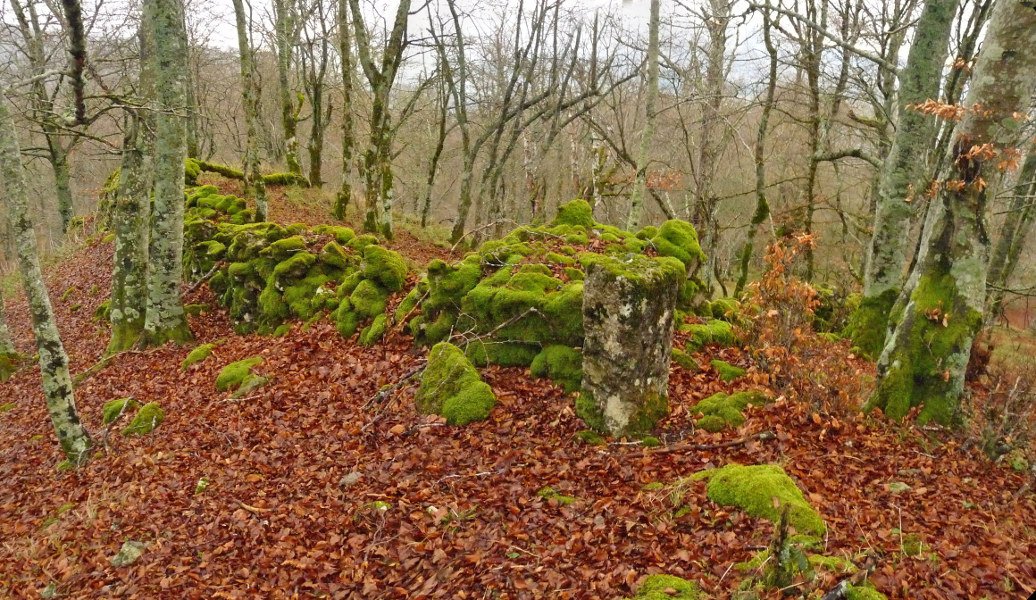 Serlo Gaineko gailurra