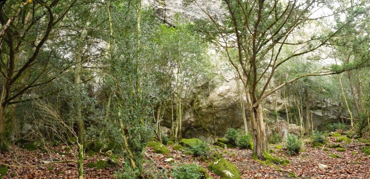 Harria hasten den bazter ederra. Honaino bide egokia dago...