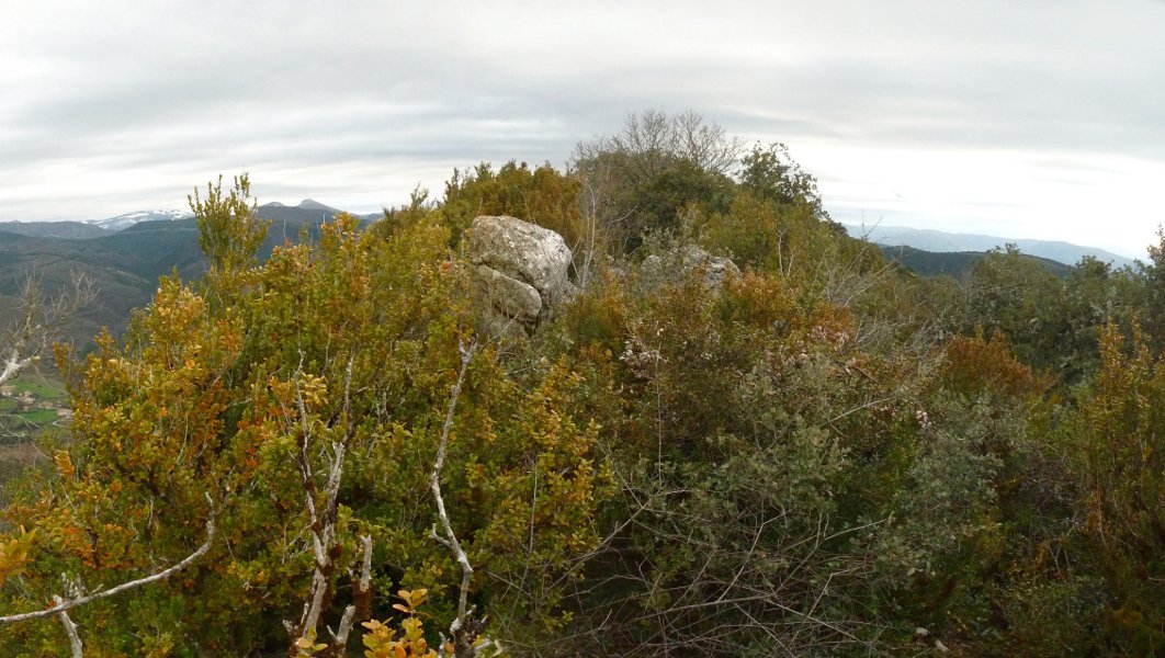 Gainaldea sasiak hartuta dago erabat