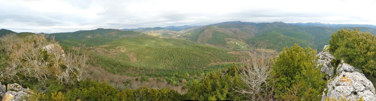 Arriasgoitiko bazterrak Aginagako Harriko gailurretik
