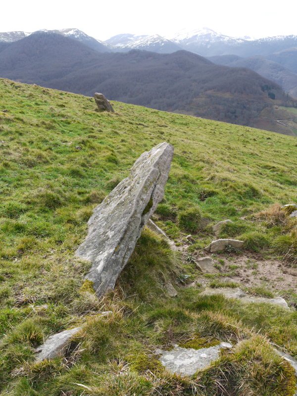 Bada inguruan beste harri zabal bat nahiko tente dagoena