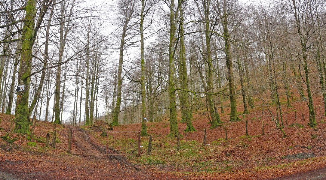 Langa Irumugarrietako lepoan