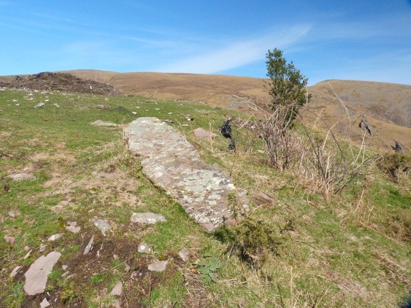 Intzipideko lepoko zutarria