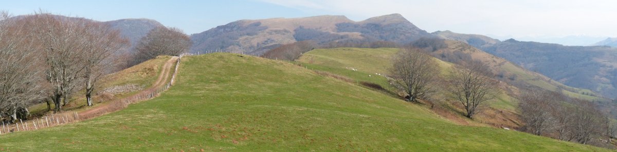 Ihizpide eta Otsameaka mendebaldetik. Atzean, Buztanzelai
