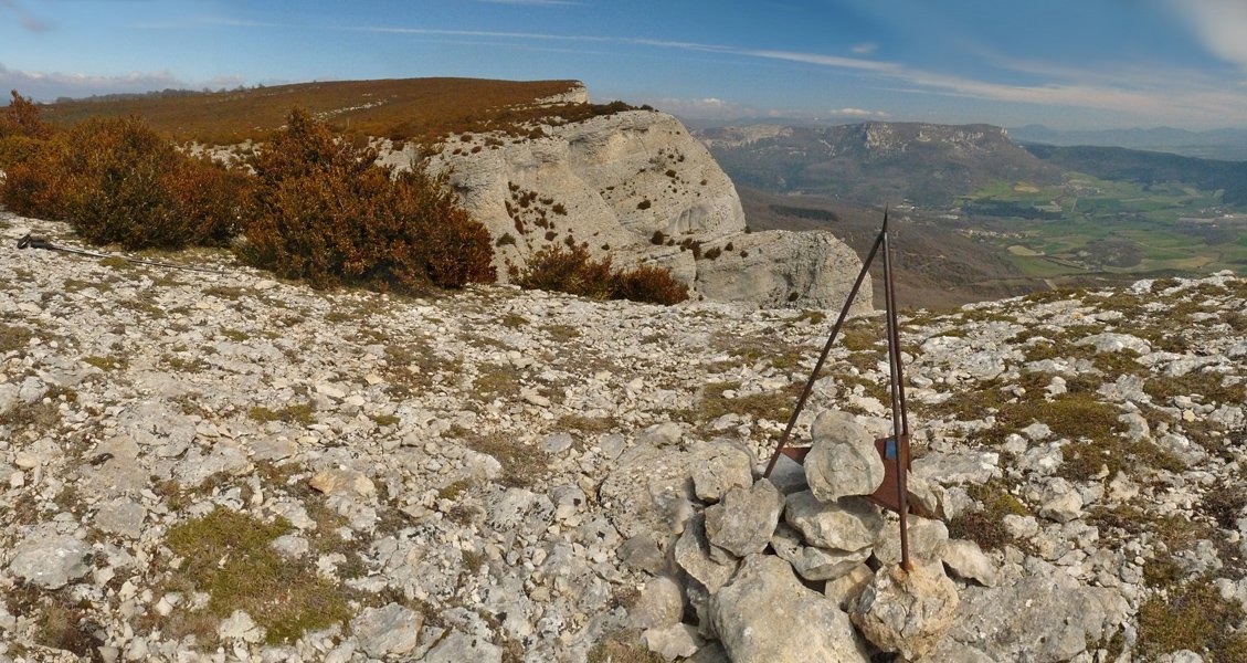 Sartzaletako buzoidun gaina