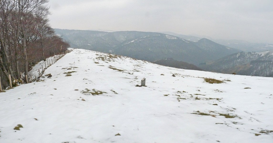 Bidegorrietako harrespila