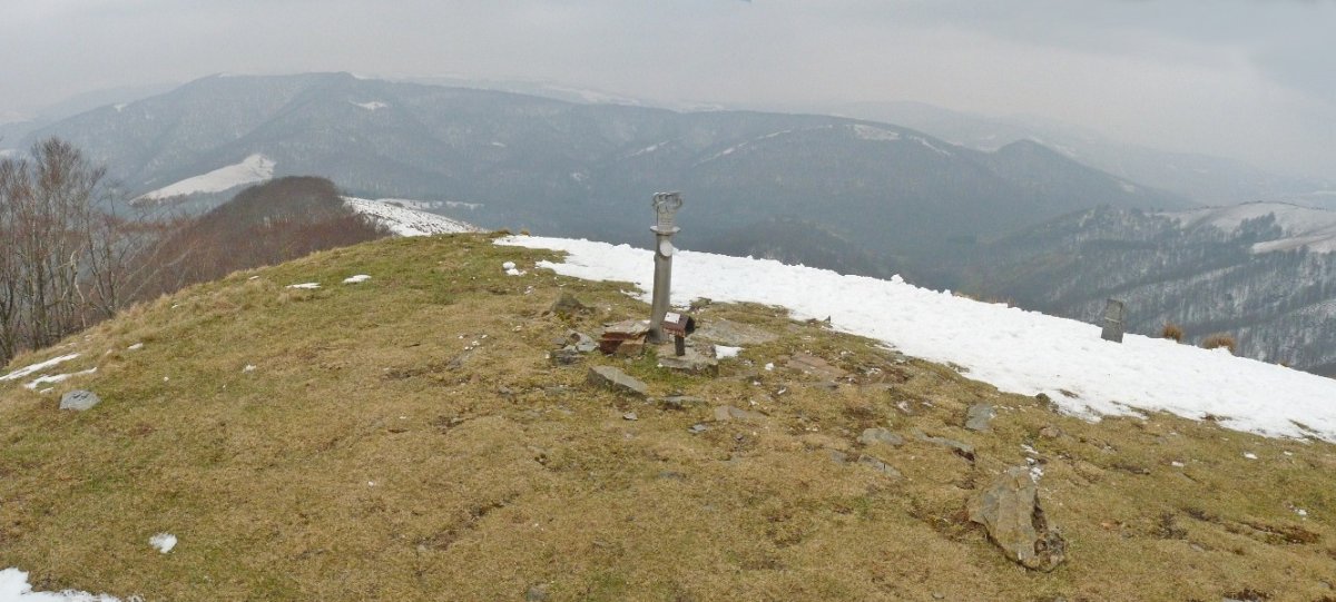 Urepelgo tumulua, mendikoi gailur-gailurrean